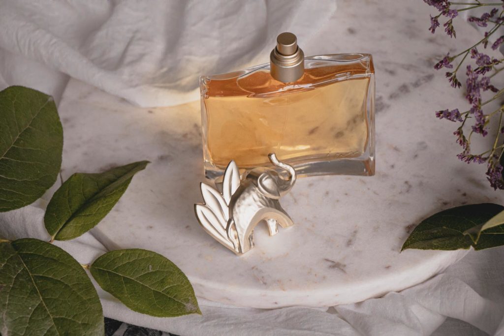 Tip na parfémové dárky pro ženy i muže - vůně, kde prim hraje vanilka a orient: Recenze a příběh parfému Kenzo Jungle.