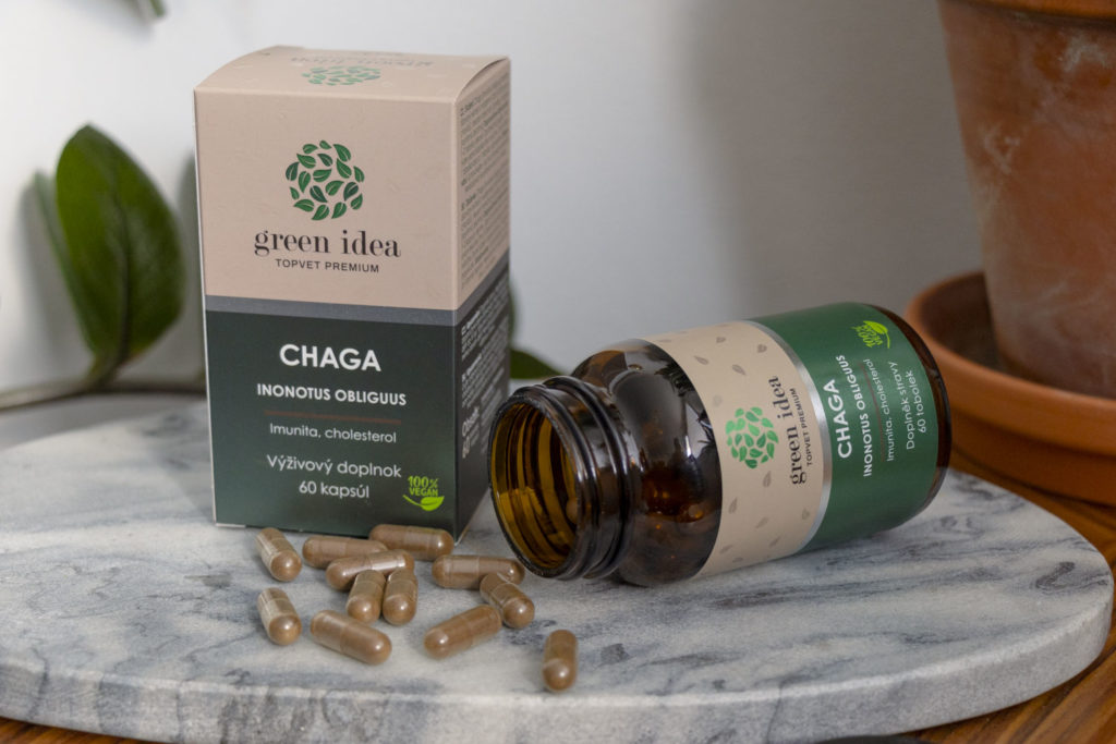 Chaga obsahuje řadu antioxidantů a stimuluje imunitu, proto je vhodná jako pomocník, který zefektivní detoxikaci.