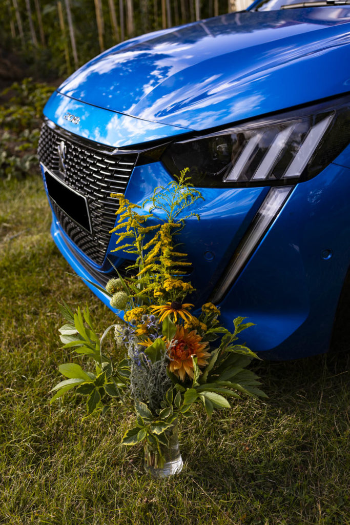 Generace 208: co mají kytky a jízda autem, Peugeotem 208 společného